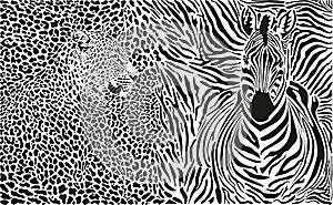 Vector illustration Leopard and zebra and pattern background