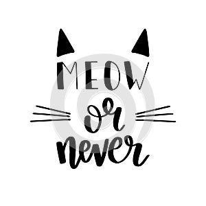 Vector illustration with lettering quote Meow or Never