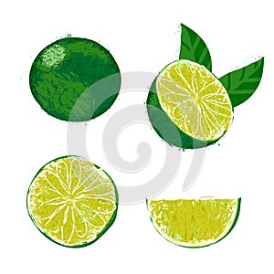 Vector illustration of a lime fruit.
