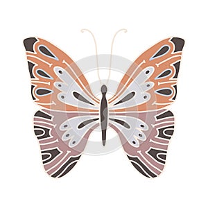 Vector illustration of a line art butterfly with colored wings. Redheads with purple wings on a white background isolated.