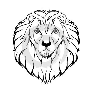 Vector illustration of a lion's head