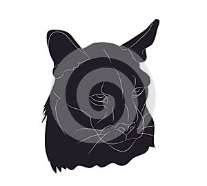 Vector illustration of a lioness portrait, silhouette drawing