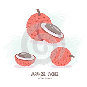 Vector illustration of Lychee fruit
