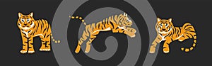 Vector illustration of lying, standing, jumping tiger silhouette on black background