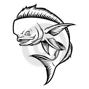 Vector illustration of a mahi mahi fish photo