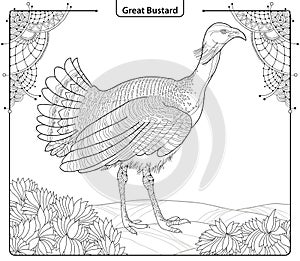 Vector illustration with male Great Bustard or Otis tarda in contour style isolated on white background with ornate corner.