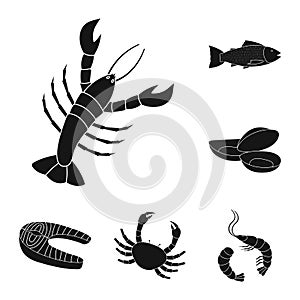 Vector illustration of market and marine logo. Collection of market and sea vector icon for stock.