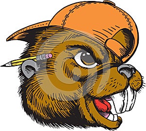 Beaver Head Tough Vector Illustration