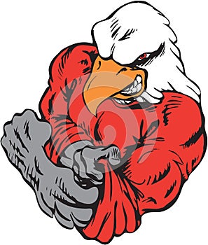 Macho Eagle Vector Illustration photo