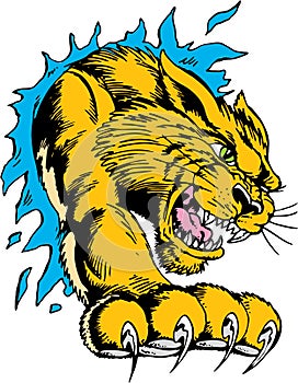 Wildcat Busting Out Vector Illustration photo