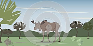 Vector illustration of moose that goes on nature