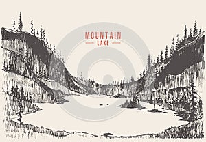 Vector illustration mountain lake pine forest draw