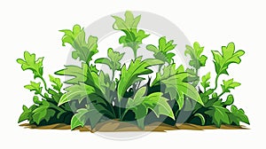 Vector Illustration of Multi-Leaved Spike-Looking Plant photo
