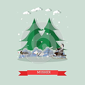 Vector illustration of musher riding dog sled in flat style