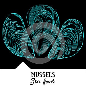 Vector illustration mussels for a seafood menu