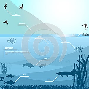 Vector illustration of nature on a blue background