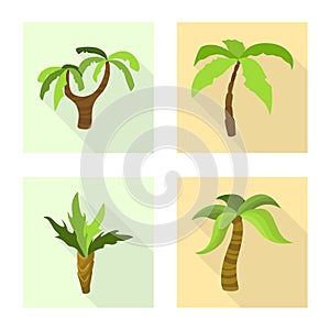 Vector illustration of nature and flora sign. Collection of nature and ecology stock vector illustration.