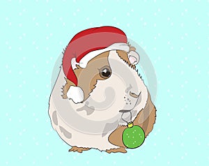 Vector illustration, New Year`s guinea pigs in Christmas clothes, can be used as a greeting card, vector