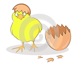 Vector illustration of a newly born baby chick