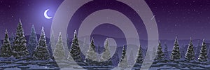 Vector illustration. Night winter landscape. Fir trees forest on hills at starry night with moon.