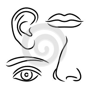 Vector illustration nose, ear, mouth and eye