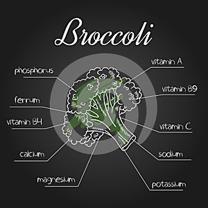Vector illustration of nutrient list for broccoli