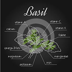 Vector illustration of nutrients list for basil on chalkboard backdrop