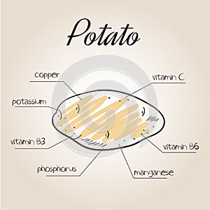 Vector illustration of nutrients list for potato