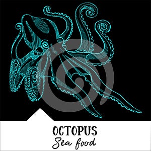 Vector illustration octopus for a seafood menu