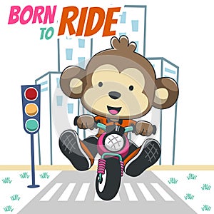 Vector illustration ofcute monkey ride a motorcycle, Can be used for t-shirt print, kids wear fashion design, invitation card.