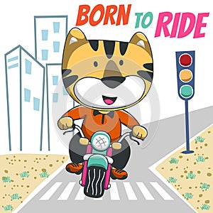 Vector illustration ofcute tiger ride a motorcycle, Can be used for t-shirt print, kids wear fashion design, invitation card.