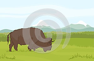 One buffalo on natural mountains background. Landscape