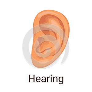 Vector illustration one of five senses - hearing