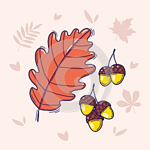 Vector illustration of orange oak leaf and acorn in doodle style isolated on a light background with autumn leaves