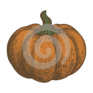 Vector illustration of orange pumpkin in retro style.