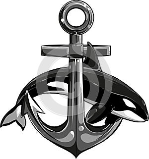 vector illustration of Orca Killer Whale with anchor