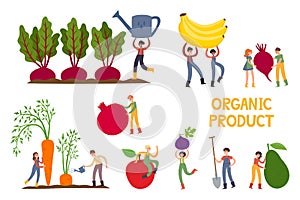 Vector illustration with organic products and tiny people on white.