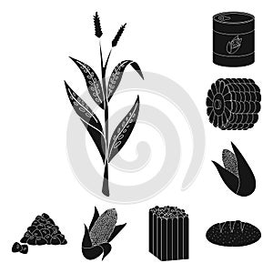 Vector illustration of organic and vegetarian symbol. Collection of organic and food vector icon for stock.