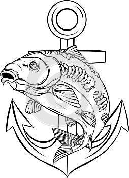 vector illustration of outline Carp fish design