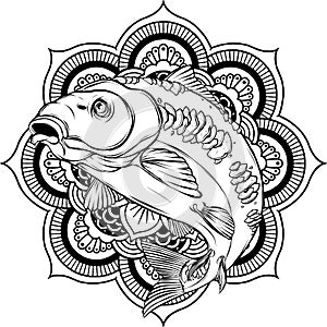 vector illustration of outline Carp fish design