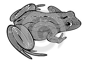 Vector illustration of outline, decorative, zentangle, stylized sitting frog in black color, isolated