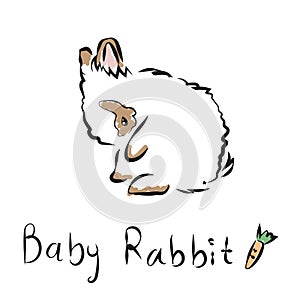 Vector illustration of outline lovely bunny on a white background