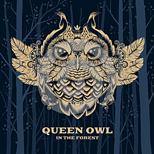 Vector Illustration Owl. Decorative graphics