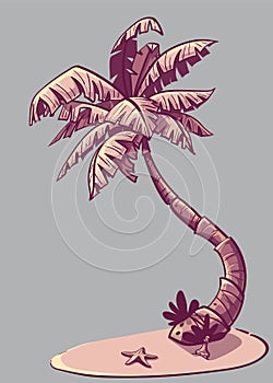 Vector illustration palm tree, starfish and a bottle of rum