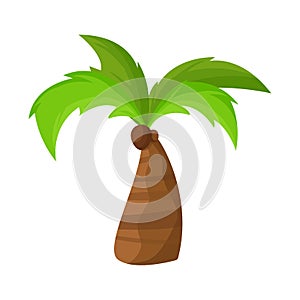 Vector illustration of palm and trunk icon. Collection of palm and scenics stock vector illustration.