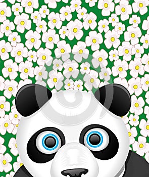 Vector illustration. Panda.