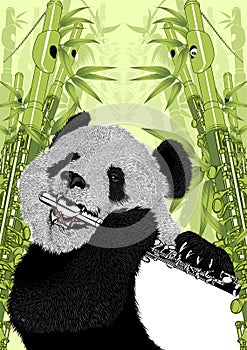 Vector illustration panda a playing musicaL instrument piccolo