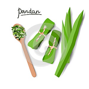 Vector illustration of pandan leaves, shredded pandan spices in wooden spoon and wrapped leaves photo