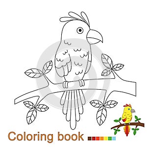 Vector illustration of parrot sitting on the branch for coloring book