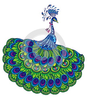 Vector illustration of peacock on white